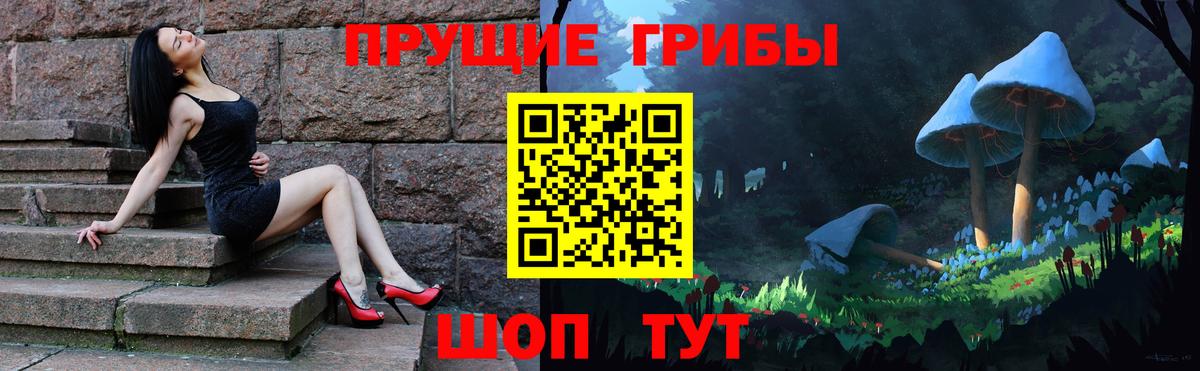 Киселёвск  Галлюциногенные грибы MAGIC MUSHROOMS  Вход с VPN 