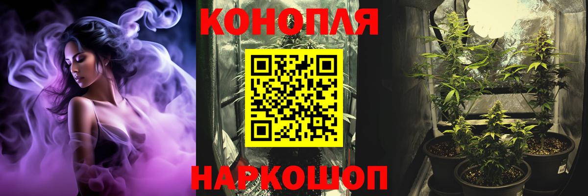 МАРИХУАНА семена Киселёвск
